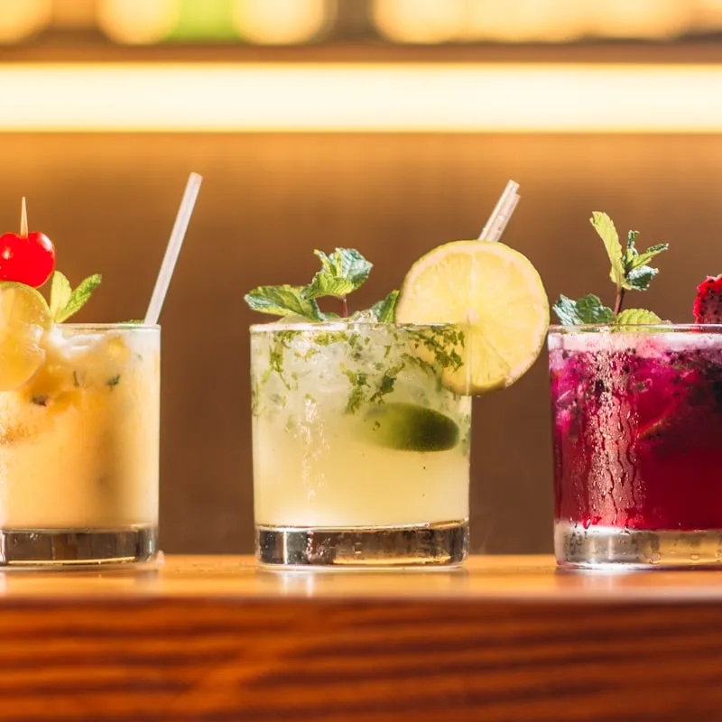 Gin tonic premium con botanicals
